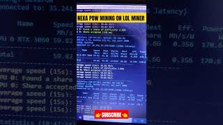 NEXA POW Mining on LOL Miner