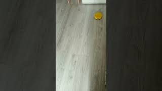 китайский робот пылесос и полотер.За 500 и 600 р.Они пытаются