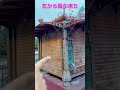 元ディズニーキャストが教える裏話‼️ポートディスカバリーのスカイウォッチャー・スーヴェニアの秘密‼️