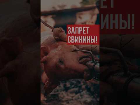 Почему в Исламе нельзя есть свинину? #ислам #думу #исламскиевидео #киев #запрет #свинина