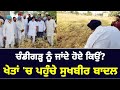 Sukhbir badal visit wheat farms after rain in punjab punjabi news corner