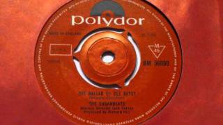 Excellent cover of this beach boy's track from which can be found on
the "little deuce coupe" album 1963. sugarbeat's were still in their
teens when...