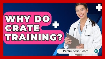 Why Do Crate Training? - PetGuide360.com