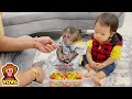 Dad teaches YoYo JR and Ai Tran to be obedient