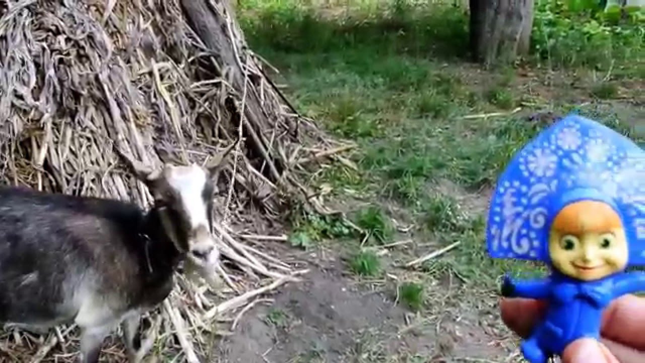 МАША И МЕДВЕДЬ - Большое путешествие (Серия 37) - YouTube