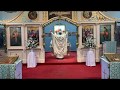 Divine Liturgy - Pentecost (Педесетница) Descent of the Holy Spirit! - Jun 7, 2020
