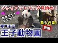 【神戸観光】ジャイアントパンダ見納め！ありがとう タンタン！王子動物園 〜前編〜