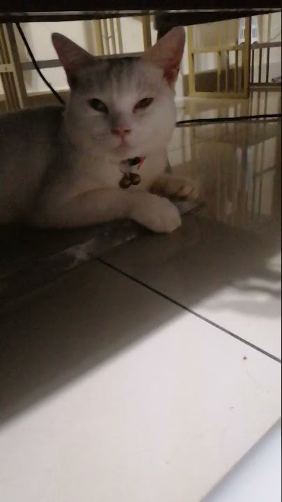 labi and labu... labi tu bukan nama sebenar...
