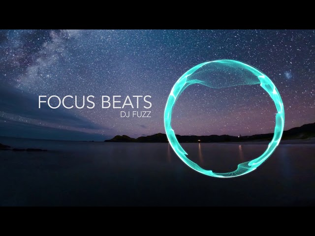 Lo-Fi Hip Hop Beats for Studying, Relax ,Sleep u0026 meditation music | DJ Fuzz - Focus Beats class=