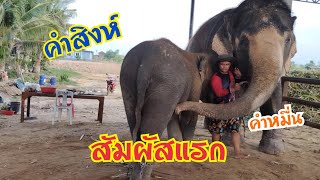 คำหมื่นมาหาหลานชายคำสิงห์ สัมผัสแรกที่แสนอบอุ่น