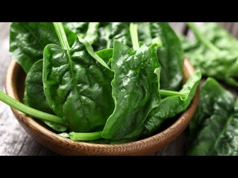 Порошок из шпината- кладезь витаминов. - YouTube