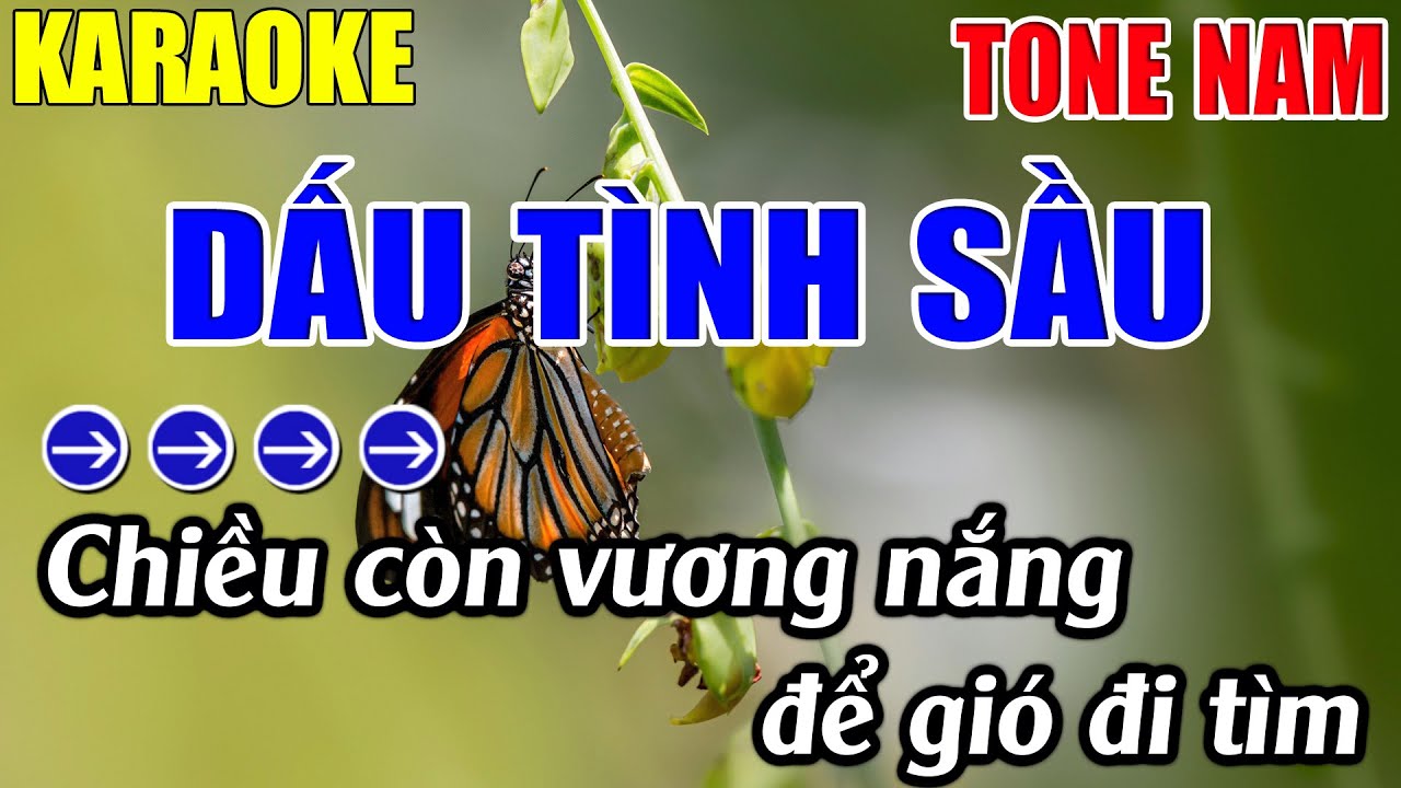 Dấu Tình Sầu Karaoke Tone Nam Karaoke Lâm Nhạc Sống - Beat Mới
