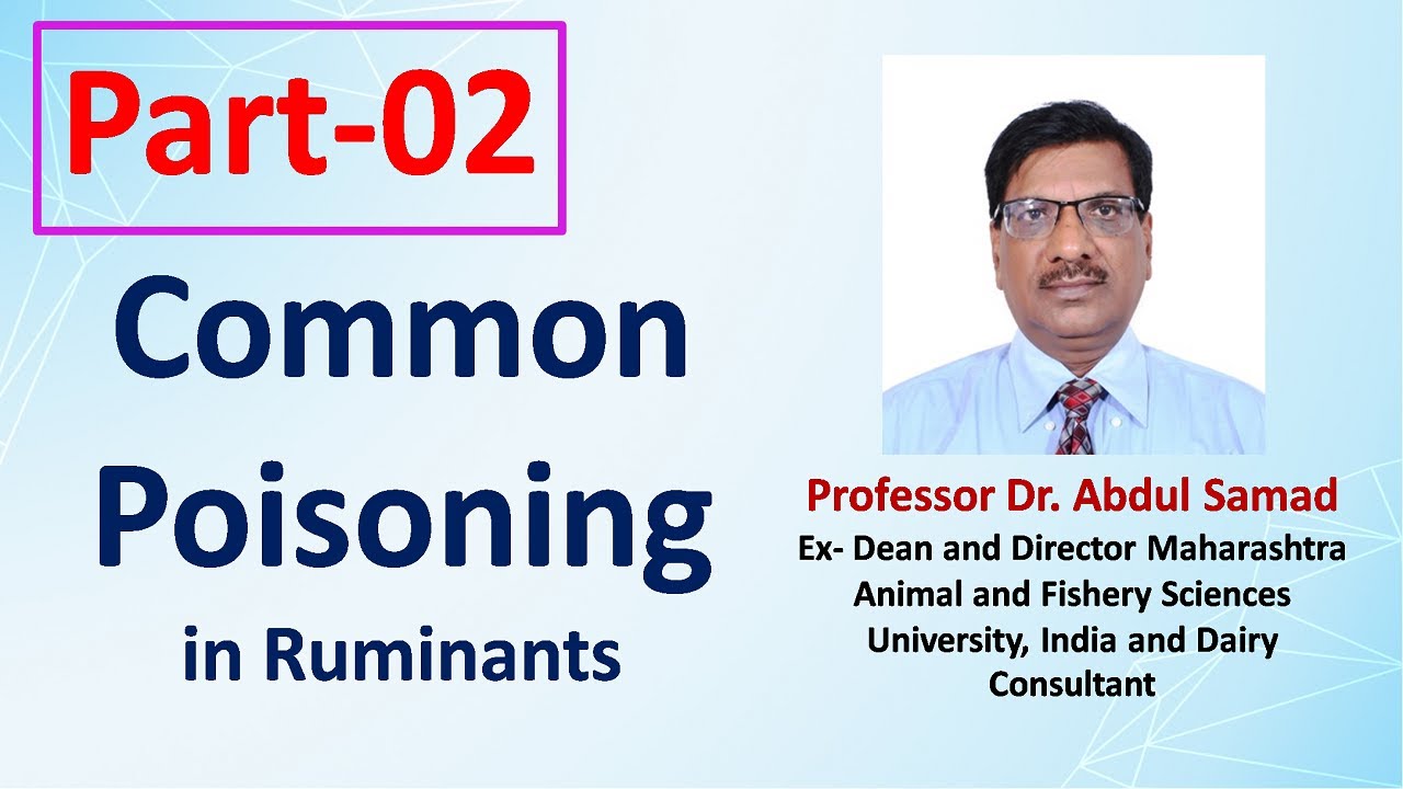 Common Poisoning In Ruminants- Prof. Dr. Abdul Samad Sir (Part 2) - YouTube