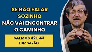 Se Não Falar Sozinho Não Vai Encontrar o Caminho - Salmos 42 e 43 | Luiz Sayão | IBNU