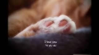 Making A Lover  (Lyrics/Vietsub)