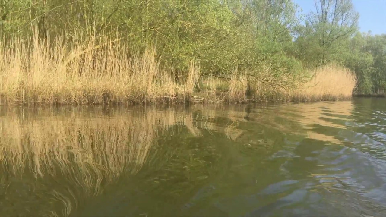 NATURE - biesbosch tour / rondvaart