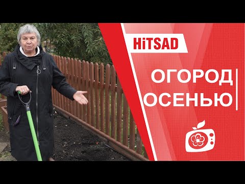 Видео: Уход за черными яблоками в Арканзасе: советы по выращиванию черных яблок в Арканзасе