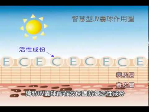 Skin Clear BB Cream 水肌清透BB霜