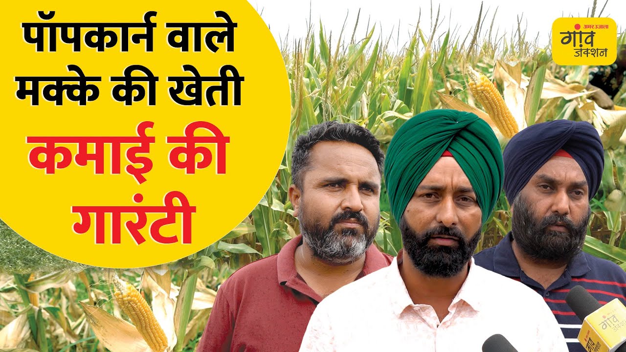 2 साल में 10 गुना बढ़ी इस मक्के की खेती | Gaon Junction LIVE