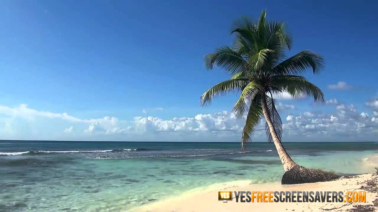 Hawaii Beach Screensaver — Ocean Waves Tropical Beach ...