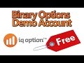 IQ Option - Binary Options 20 minutes sample Trading ...