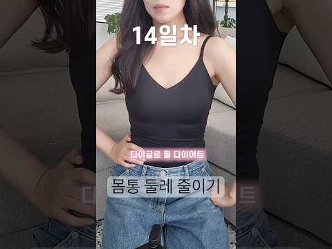 체지방 관리🌱뉴온 다이글로 필 다이어트, 2주만에 몸통 줄이는 법