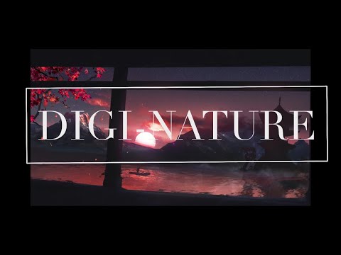 1 Hour Zen Ambient Sounds With Scenery for Sleeping and Deep Relaxation