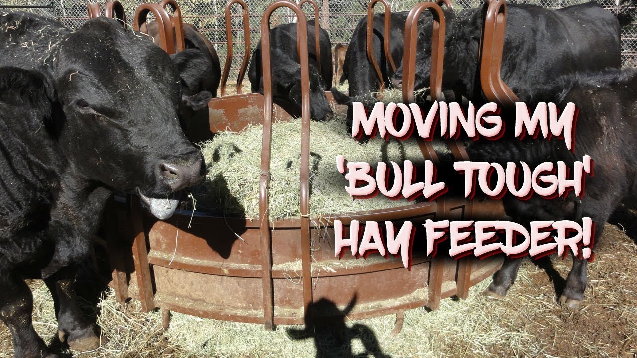 Moving My Bull Tough Hay Feeder Youtube
