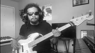 We Found Love - Rihanna (Bass Cover)