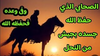 الصحابي الجليل الذي حفظ الله جسده بجيش من النحل من أعظم قصص الصحابة