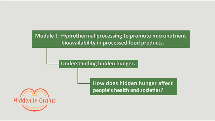 1.1.3. Understanding Hidden Hunger: How does Hidden Hunger affect People's Health and Societies