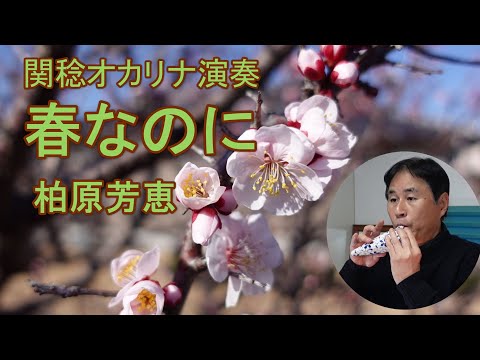 春なのに／柏原芳恵（関稔オカリナ演奏）作詞作曲・中島みゆき