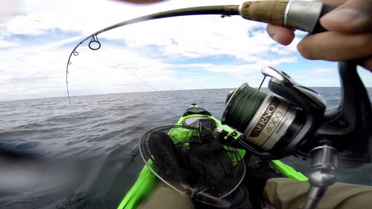 Summer Pollock Fishing 2014 YouTube