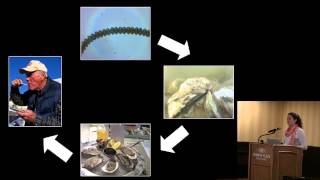 Sarah Pease's Graduate Research on Harmful Algal Blooms