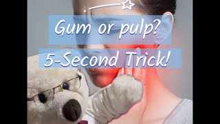  “The Truth Behind Your Tooth Pain: Gum or Pulp? Dr. Teddy Explains!”✨