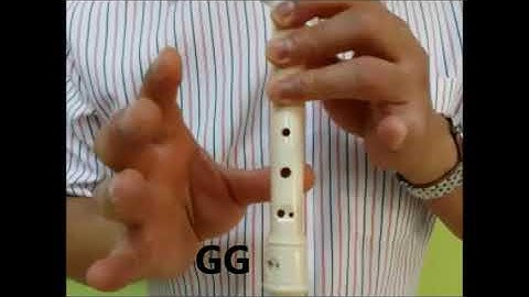 Twinkle Twinkle Little Star Recorder