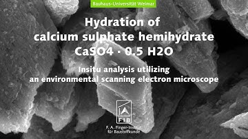 Watching crystals grow via electron microscopy! - Hydration of gipsum (insitu ESEM)