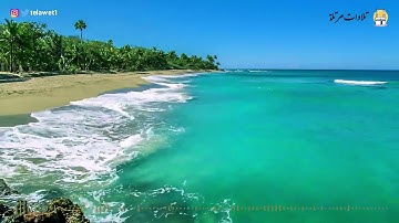 تلاوة رائعة لسورة الجاثية للشيخ بندر بليلة