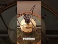 بابور بريموس الأصلي صناعة سويدية 
