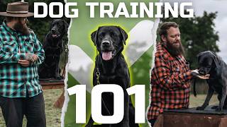 IT'S NEVER TO LATE TO TRAIN YOUR DOG