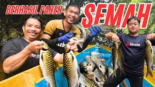 Download Lagu Semakin ke hulu, semakin meriah lubuk ikan mahseer MP3 Download Lagu Semakin ke hulu, semakin meriah lubuk ikan mahseer MP3