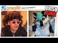 I fell in love with a furry on omegle