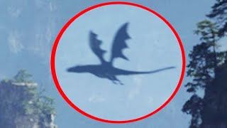 Graban Un Dragon Real Volando En El Cielo 2022
