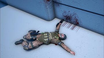 Realistic Ragdoll Physics & Fierce Gunfight #14 － Warbox