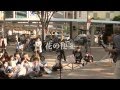 花の便箋 / 西村亮哉