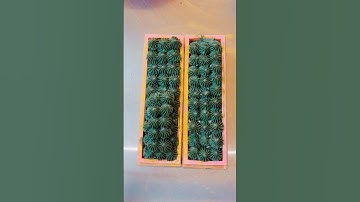 3 Layers + 2 Pencil Lines + FROSTING Soap! 🎄 #soapmaking #soapmakingprocess #soaping #soapmaker