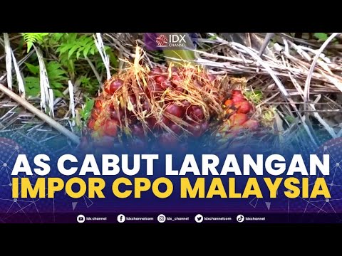 AS Cabut Larangan Impor CPO Malaysia | 1ST SESSION CLOSING 06/02/2023