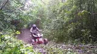 Квадроцикл irbis ATV 250S ( задний привод )