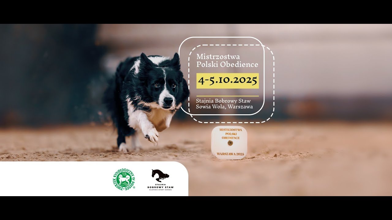 I dzień - Mistrzostwa Polski Obedience 2025 Ring 2