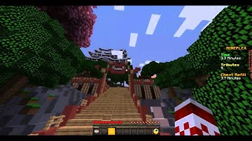 Hacker on Mineplex .Survival Games #1